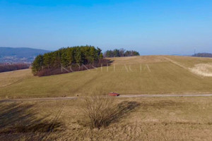 Działka na sprzedaż 11100m2 myślenicki Wiśniowa - zdjęcie 3