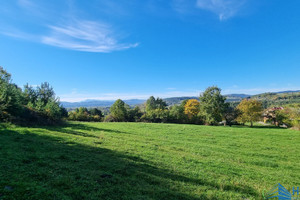 Działka na sprzedaż 3237m2 nowosądecki Podegrodzie Brzezna - zdjęcie 1