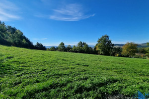 Działka na sprzedaż 3237m2 nowosądecki Podegrodzie Brzezna - zdjęcie 3