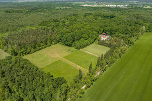 Działka na sprzedaż 5018m2 kościański Czempiń Bieczyny Piękna - zdjęcie 1