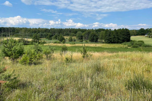 Działka na sprzedaż 7200m2 międzychodzki Międzychód Łowyń - zdjęcie 3