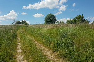 Działka na sprzedaż 1700m2 krakowski Czernichów Rybna Dębowa - zdjęcie 1