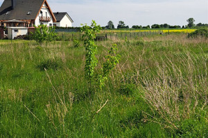 Działka na sprzedaż czarnkowsko-trzcianecki Lubasz - zdjęcie 3