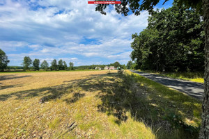 Działka na sprzedaż czarnkowsko-trzcianecki Trzcianka Biernatowo - zdjęcie 1