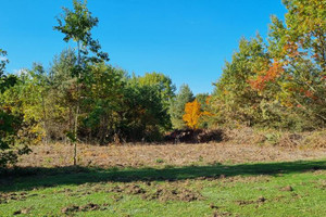 Działka na sprzedaż 127200m2 pruszkowski Brwinów Żółwin - zdjęcie 2