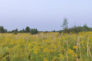 Działka na sprzedaż 1426m2 warszawski zachodni Leszno Feliksów - zdjęcie 1