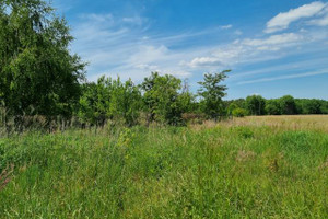 Działka na sprzedaż 1671m2 warszawski zachodni Leszno Zaborówek - zdjęcie 1