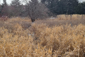 Działka na sprzedaż 1000m2 pruszkowski Nadarzyn Rusiec - zdjęcie 2