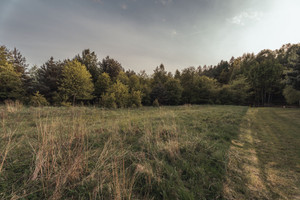 Działka na sprzedaż Rybnik Kamień Pojdy 53a - zdjęcie 2