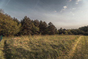 Działka na sprzedaż Rybnik Kamień Pojdy 53a - zdjęcie 1