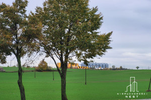 Działka na sprzedaż 40000m2 szamotulski Duszniki Sękowo Sękowo działka Usługi Produkcja - zdjęcie 3