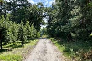 Działka na sprzedaż 16164m2 grójecki Chynów Mąkosin - zdjęcie 2