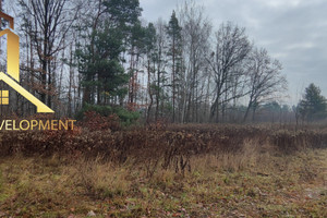 Działka na sprzedaż 1200m2 piaseczyński Prażmów Zawodne Krańcowa - zdjęcie 3