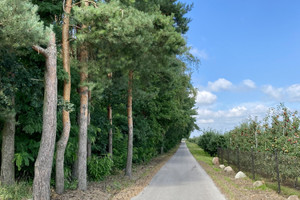 Działka na sprzedaż 16164m2 grójecki Chynów Mąkosin - zdjęcie 1