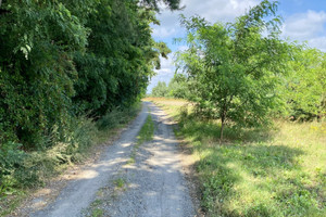 Działka na sprzedaż 16164m2 grójecki Chynów Mąkosin - zdjęcie 3