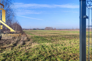 Działka na sprzedaż 1034m2 piaseczyński Piaseczno Gołków - zdjęcie 3