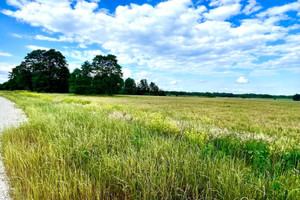 Działka na sprzedaż 15000m2 piaseczyński Tarczyn Kotorydz - zdjęcie 2