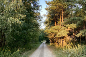 Działka na sprzedaż 1063m2 piaseczyński Prażmów Nowy Prażmów - zdjęcie 2