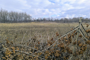 Działka na sprzedaż 10000m2 Piekary Śląskie - zdjęcie 1