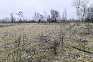 Działka na sprzedaż 10000m2 Piekary Śląskie - zdjęcie 2