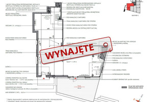 Komercyjne do wynajęcia 150m2 Gdańsk Oliwa - zdjęcie 4