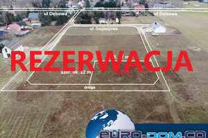 Działka na sprzedaż 582m2 kościański Kościan Nowy Dębiec Daglezjowa - zdjęcie 1