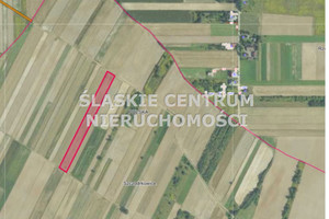 Działka na sprzedaż 8100m2 krakowski Skała Szczodrkowice Marianów - zdjęcie 2