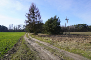 Działka na sprzedaż szamotulski Pniewy Zajączkowo - zdjęcie 2