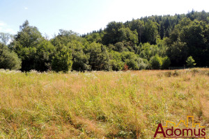 Działka na sprzedaż 4000m2 tarnowski Zakliczyn Bieśnik - zdjęcie 3