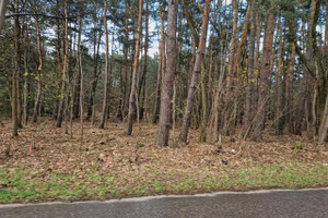 Działka na sprzedaż 8900m2 wołomiński Radzymin Nowy Janków - zdjęcie 2