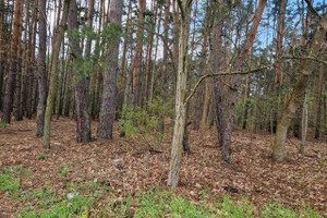 Działka na sprzedaż 8900m2 wołomiński Radzymin Nowy Janków - zdjęcie 3