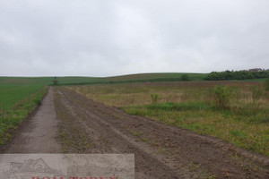 Działka na sprzedaż 10154m2 toruński Lubicz Grębocin - zdjęcie 3