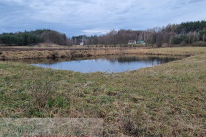 Działka na sprzedaż 12400m2 golubsko-dobrzyński Kowalewo Pomorskie Pruska Łąka - zdjęcie 3