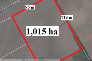 Działka na sprzedaż 10154m2 toruński Lubicz Grębocin - zdjęcie 2