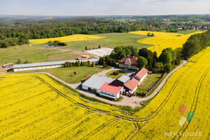 Komercyjne na sprzedaż 900m2 olsztyński Dywity Spręcowo - zdjęcie 3