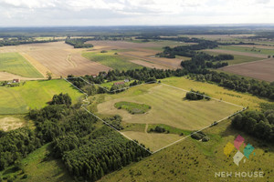 Działka na sprzedaż 69865m2 lidzbarski Orneta Henrykowo - zdjęcie 2