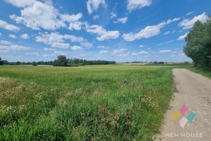 Działka na sprzedaż 3193m2 olsztyński Purda Pajtuny - zdjęcie 3