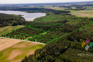 Działka na sprzedaż 111621m2 działdowski Rybno Naguszewo - zdjęcie 1