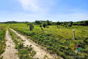 Działka na sprzedaż 3901m2 olsztyński Olsztynek Elgnówko - zdjęcie 2