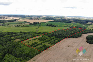 Działka na sprzedaż 123262m2 lidzbarski Orneta Henrykowo - zdjęcie 2