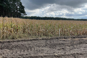 Działka na sprzedaż szamotulski Szamotuły Otorowo - zdjęcie 2