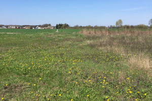 Działka na sprzedaż szamotulski Szamotuły Brodziszewo Szkolna - zdjęcie 2