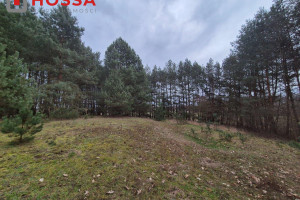 Działka na sprzedaż 10001m2 skierniewicki Skierniewice Budy Grabskie - zdjęcie 3