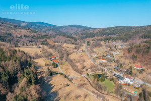 Działka na sprzedaż 1573m2 kamiennogórski Lubawka Jarkowice - zdjęcie 3