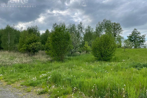 Działka na sprzedaż 3001m2 gryfiński Widuchowa Kłodowo - zdjęcie 3