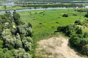 Działka na sprzedaż 3595m2 policki Kołbaskowo Kurów - zdjęcie 3