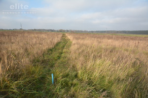 Działka na sprzedaż 3003m2 policki Dobra (Szczecińska) Wołczkowo - zdjęcie 1