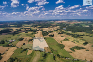 Działka na sprzedaż 62600m2 ostródzki Miłomłyn Liwa Długa - zdjęcie 1