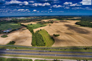 Działka na sprzedaż 12727m2 olsztyński Olsztynek Jemiołowo - zdjęcie 3