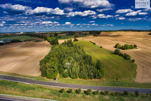 Działka na sprzedaż 12727m2 olsztyński Olsztynek Jemiołowo - zdjęcie 2